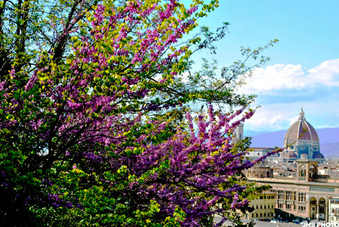 Piazzale Michelangelo