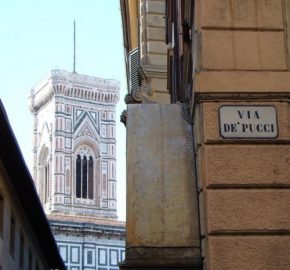 pucci