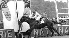 Ribot, che volava