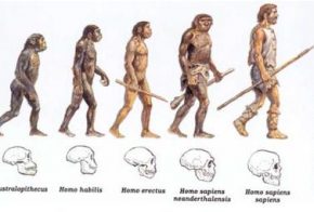 Abbiamo urgente bisogno di evolvere