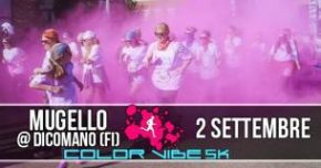 Color Vibe 5K