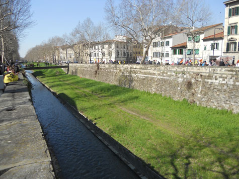 mugnone