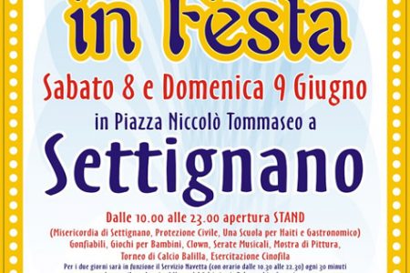 Volontari in Festa