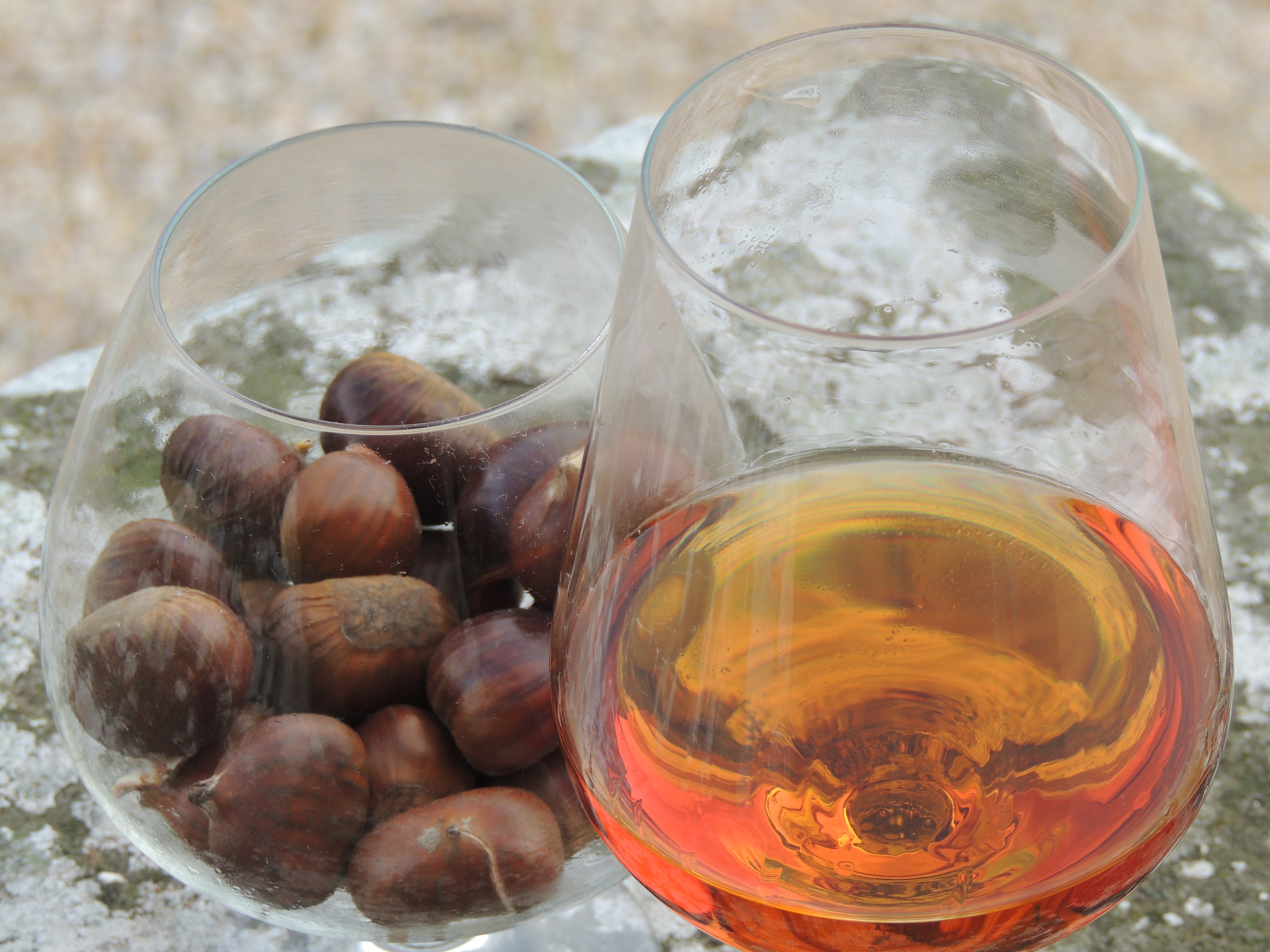 Autunno tempo di castagne