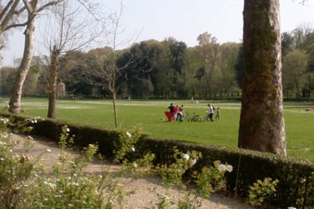 Basta un raggio di sole