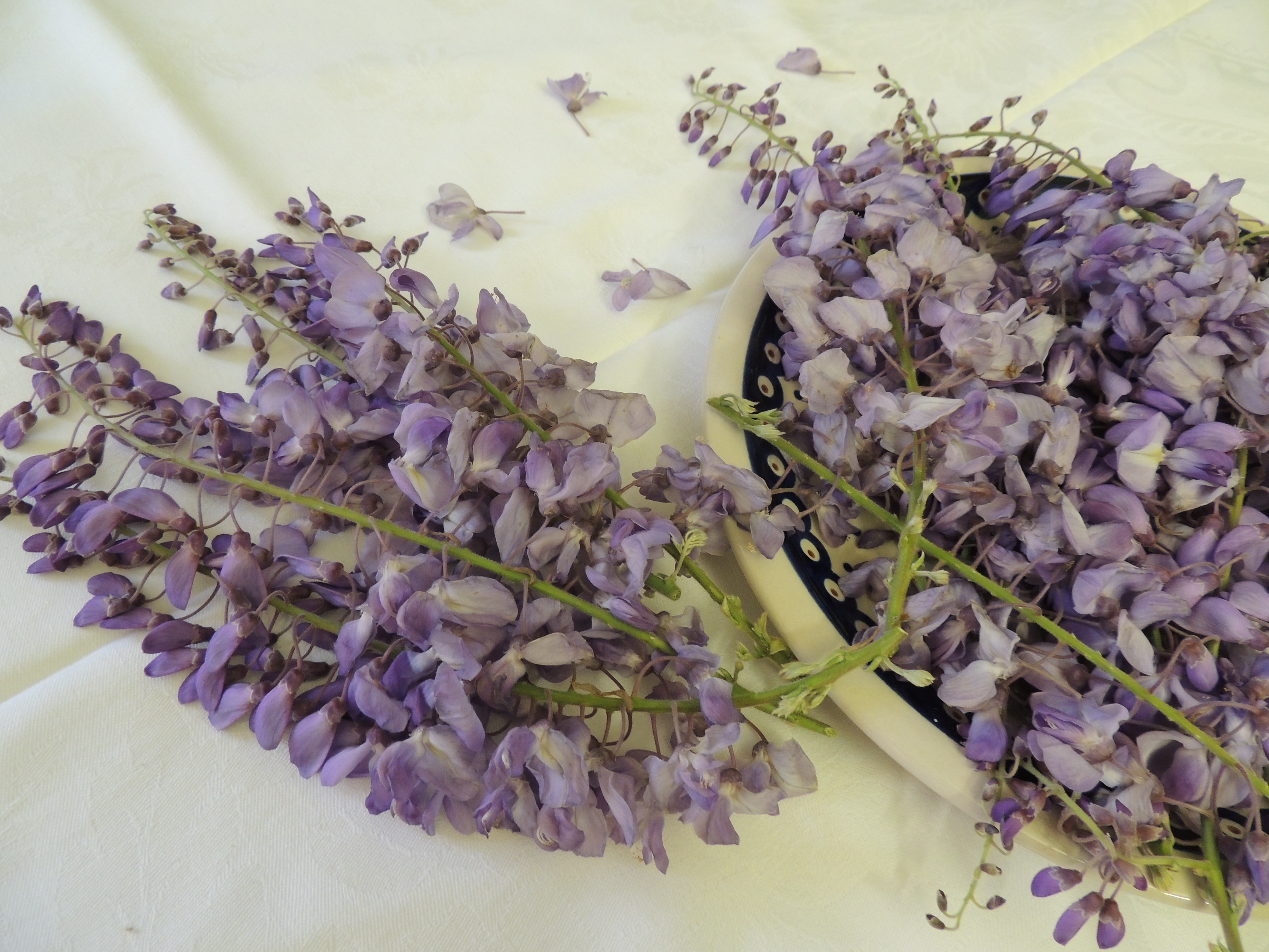 Nel linguaggio dei fiori indica amicizia