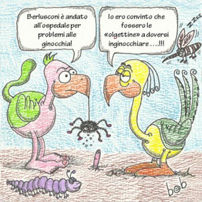 Le ginocchia