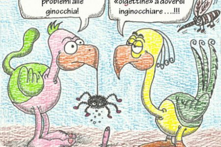 Le ginocchia