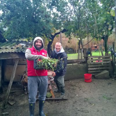 Operazione Heidi
