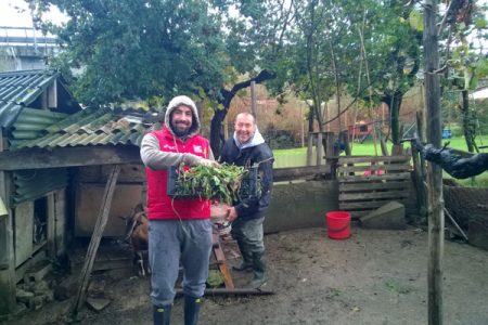 Operazione Heidi