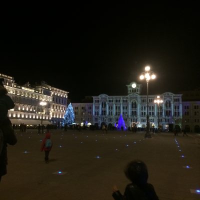 Chi l’ha visto?