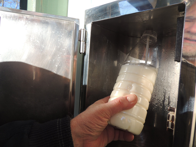 Distributore latte crudo1