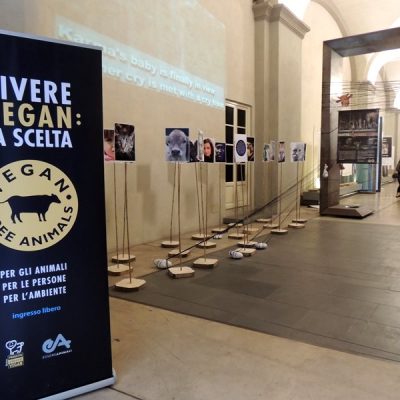 Vegan un mondo da scoprire