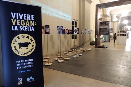 Vegan un mondo da scoprire