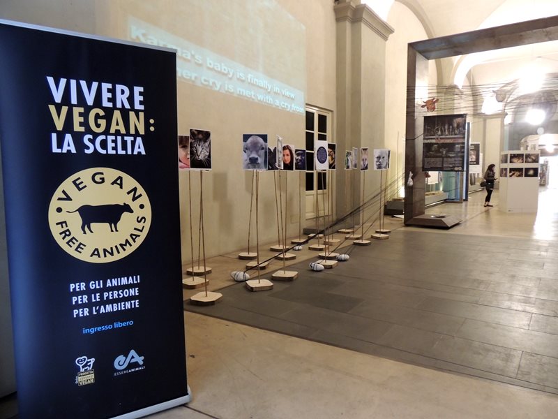 Vegan un mondo da scoprire
