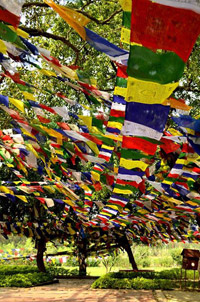 Nepal3