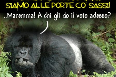 Elezioni regionali