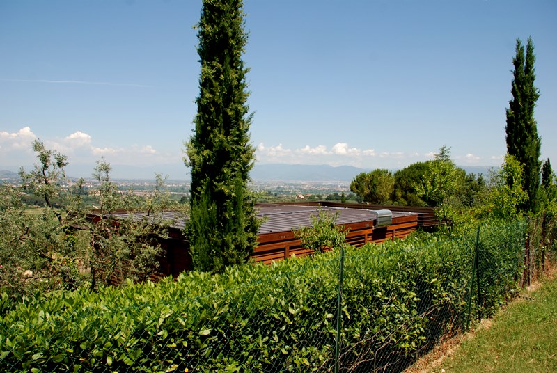 Il Fico