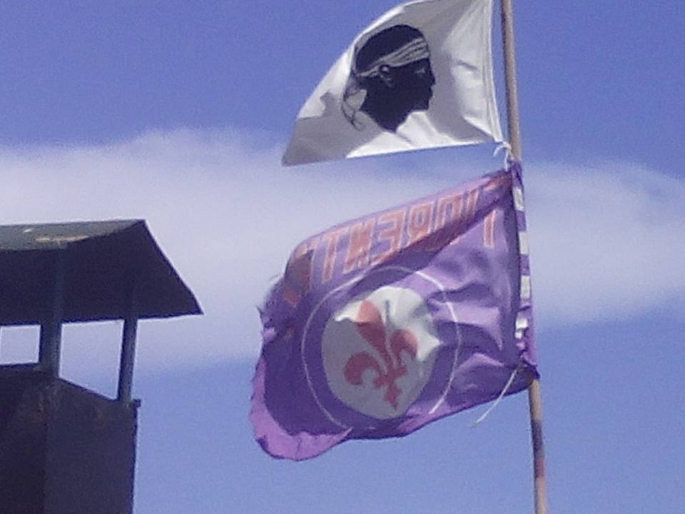 viola a bastia