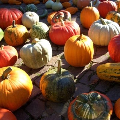 Una frittata per Halloween