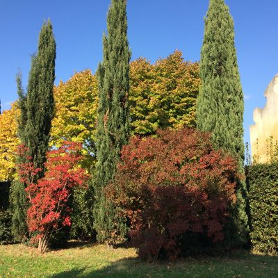 Tutti i colori