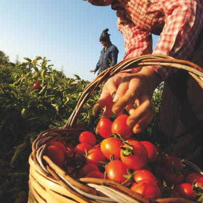 Ci vuole un pomodoro per fare un film
