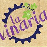 Vinaria
