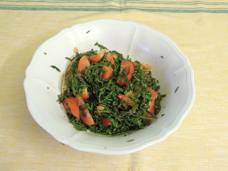 Insalata di Salicornia o asparago di mare