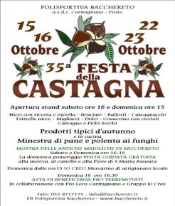 sagra_della_castagna