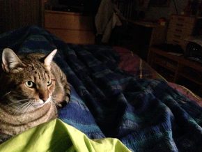 img-20161116-wa00032