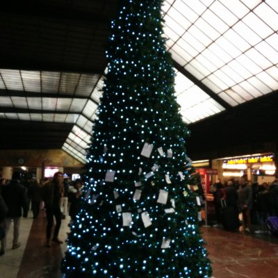 Torna l’albero dei desideri