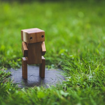 I robot, la legge e le tasse