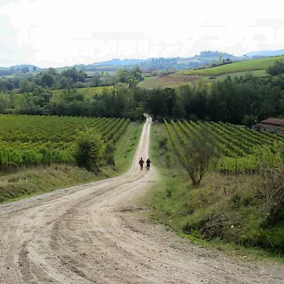 La Via Francigena: da antica via di pellegrinaggio a prodotto turistico