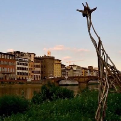 Legno d’arte: Intervista a Sedicente Moradi