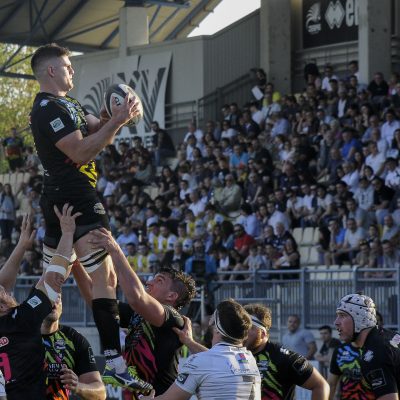 Le Zebre travolgono gli Ospreys!