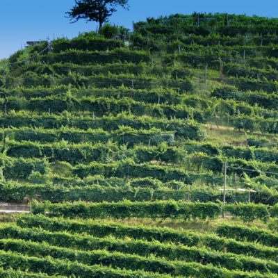 Un Prosecco contro la calura estiva