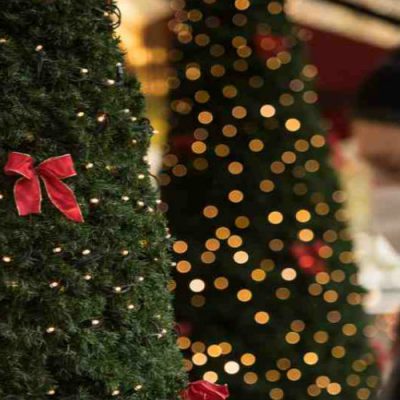 Come vedi il Natale 2020?