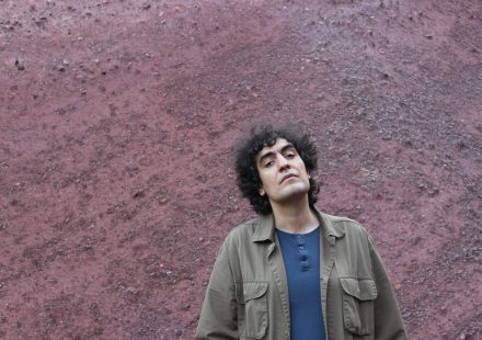 Riecco L’Albero tra Cielo e Sfacelo