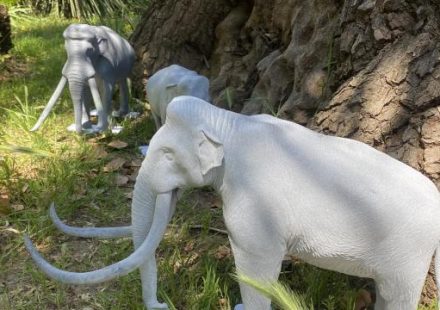 Animali estinti a portata di mano