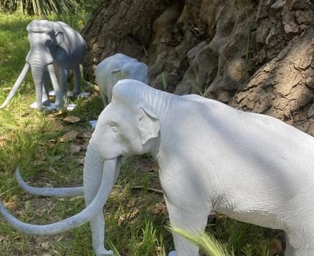 Animali estinti a portata di mano
