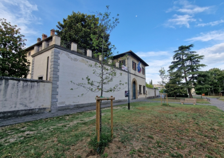 Depavimentazione: cos’è, pregi e difetti
