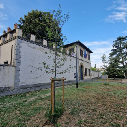 Depavimentazione: cos’è, pregi e difetti